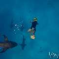 Family, photo taken in Maldives, Male Atoll, South Male Atoll, n/a