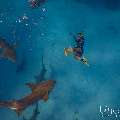 Family, photo taken in Maldives, Male Atoll, South Male Atoll, n/a