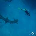 Family, photo taken in Maldives, Male Atoll, South Male Atoll, n/a
