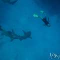 Family, photo taken in Maldives, Male Atoll, South Male Atoll, n/a