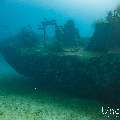 Wreck, photo taken in Maldives, Male Atoll, South Male Atoll, Kuda Giri