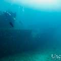 Wreck, photo taken in Maldives, Male Atoll, South Male Atoll, Kuda Giri