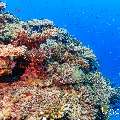 , photo taken in Maldives, Male Atoll, South Male Atoll, Kuda Giri