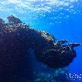 , photo taken in Maldives, Male Atoll, South Male Atoll, Kuda Giri
