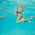Hawksbill Sea Turtle (Eretmochelys imbricata), photo taken in Maldives, Male Atoll, South Male Atoll, n/a