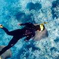 Family, photo taken in Maldives, Male Atoll, South Male Atoll, Fish Tank