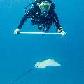 Family, photo taken in Maldives, Male Atoll, South Male Atoll, Shark Tank