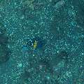 , photo taken in Indonesia, Bali, Tulamben, Sidem , photo taken in Indonesia, Bali, Tulamben, Sidem