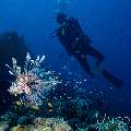 , photo taken in Maldives, Male Atoll, South Male Atoll, Gulhi Corner