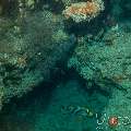 , photo taken in Maldives, Male Atoll, South Male Atoll, Kuda Giri