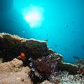 , photo taken in Maldives, Male Atoll, South Male Atoll, Horah Giri