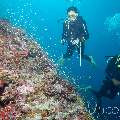 , photo taken in Maldives, Male Atoll, South Male Atoll, Horah Giri