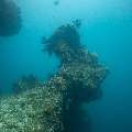 , photo taken in Maldives, Male Atoll, South Male Atoll, Horah Giri