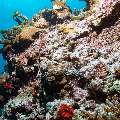 , photo taken in Maldives, Male Atoll, South Male Atoll, Horah Giri