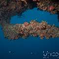 , photo taken in Maldives, Male Atoll, South Male Atoll, Horah Giri