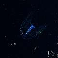 , photo taken in Indonesia, Bali, Tulamben, Blackwater
