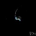, photo taken in Indonesia, Bali, Tulamben, Blackwater