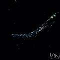 , photo taken in Indonesia, Bali, Tulamben, Blackwater