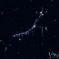 , photo taken in Indonesia, Bali, Tulamben, Blackwater