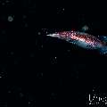 , photo taken in Indonesia, Bali, Tulamben, Blackwater