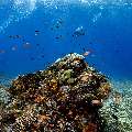 , photo taken in Indonesia, East Nusa Tenggara, West Manggarai Regency, Manta Point