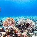 , photo taken in Indonesia, East Nusa Tenggara, West Manggarai Regency, Manta Point