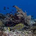 , photo taken in Indonesia, East Nusa Tenggara, West Manggarai Regency, Manta Point