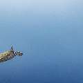 Hawksbill Sea Turtle (Eretmochelys imbricata), photo taken in Indonesia, East Nusa Tenggara, West Manggarai Regency, Manta Point