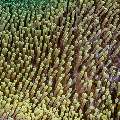 , photo taken in Indonesia, East Nusa Tenggara, West Manggarai Regency, Batu Bolong