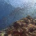 , photo taken in Indonesia, East Nusa Tenggara, West Manggarai Regency, Batu Bolong
