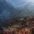 , photo taken in Indonesia, East Nusa Tenggara, West Manggarai Regency, Batu Bolong