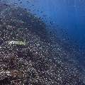 , photo taken in Indonesia, East Nusa Tenggara, West Manggarai Regency, Batu Bolong