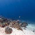 , photo taken in Indonesia, East Nusa Tenggara, West Manggarai Regency, Mawan