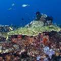 , photo taken in Indonesia, East Nusa Tenggara, West Manggarai Regency, Mawan