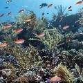 , photo taken in Indonesia, East Nusa Tenggara, West Manggarai Regency, Police Corner