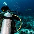 , photo taken in Indonesia, East Nusa Tenggara, West Manggarai Regency, Mawan