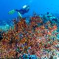 , photo taken in Indonesia, East Nusa Tenggara, West Manggarai Regency, Tatawa Besar