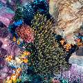 , photo taken in Indonesia, East Nusa Tenggara, West Manggarai Regency, Tatawa Besar