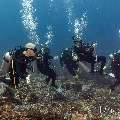 , photo taken in Indonesia, East Nusa Tenggara, West Manggarai Regency, Tatawa Kecil
