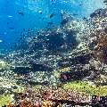 , photo taken in Indonesia, East Nusa Tenggara, West Manggarai Regency, Tatawa Kecil