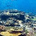 , photo taken in Indonesia, East Nusa Tenggara, West Manggarai Regency, Tatawa Kecil