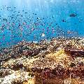 , photo taken in Indonesia, East Nusa Tenggara, West Manggarai Regency, Tatawa Kecil