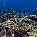 , photo taken in Indonesia, East Nusa Tenggara, West Manggarai Regency, Tatawa Kecil