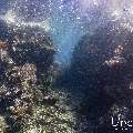 , photo taken in Indonesia, East Nusa Tenggara, West Manggarai Regency, Pengah Kecil