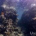 , photo taken in Indonesia, East Nusa Tenggara, West Manggarai Regency, Pengah Kecil