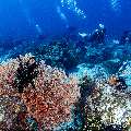, photo taken in Indonesia, East Nusa Tenggara, West Manggarai Regency, Tatawa Besar