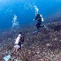 , photo taken in Indonesia, East Nusa Tenggara, West Manggarai Regency, Siaba Kecil