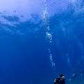 , photo taken in Indonesia, East Nusa Tenggara, West Manggarai Regency, Manta Point