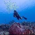 , photo taken in Indonesia, East Nusa Tenggara, West Manggarai Regency, Siaba Kecil