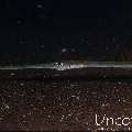 , photo taken in Indonesia, Bali, Tulamben, Seraya Secrets